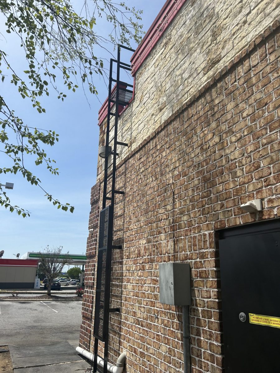 Repainted Ladder Railing Preview Image 13