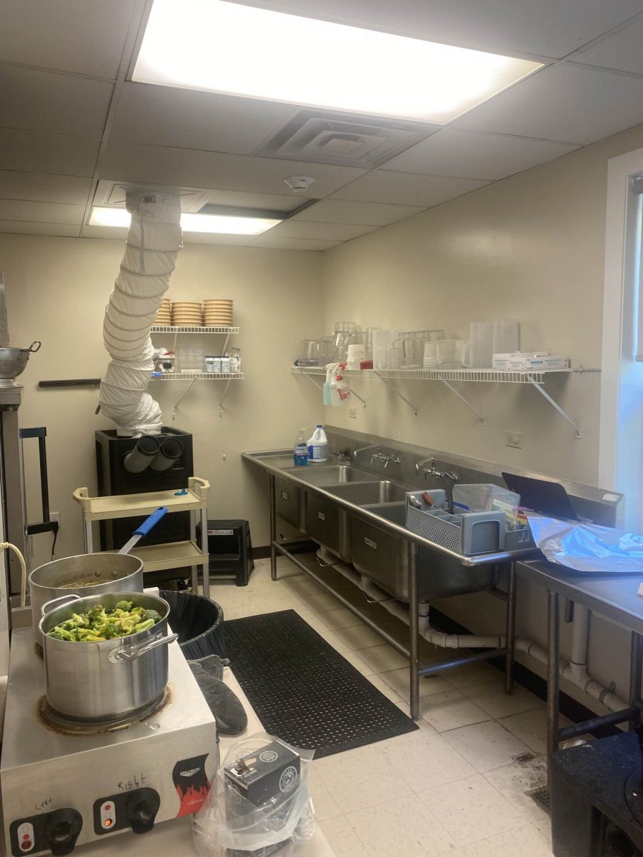 Chesterbrook Kitchen Preview Image 12