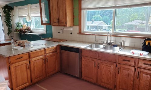 Cabinets before Makeover