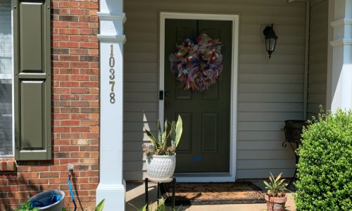 Front Doorway Painting