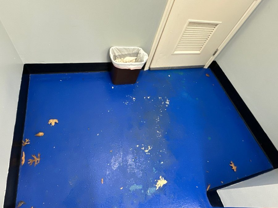 commercial bathroom with chipped blue painted floor Preview Image 4