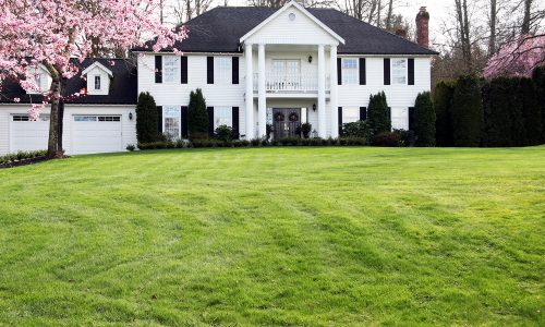 Traditional White Home