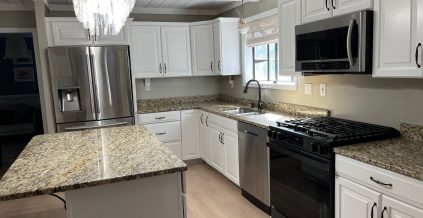 Kitchen Cabinet Painting