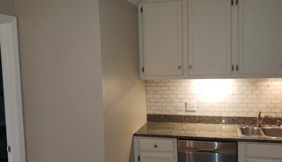 kitchen painting company in chicago il