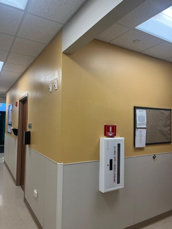 best painted yellow wall at doctor's office Chicago Preview Image 1