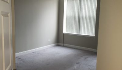 professional house painters in chicago il