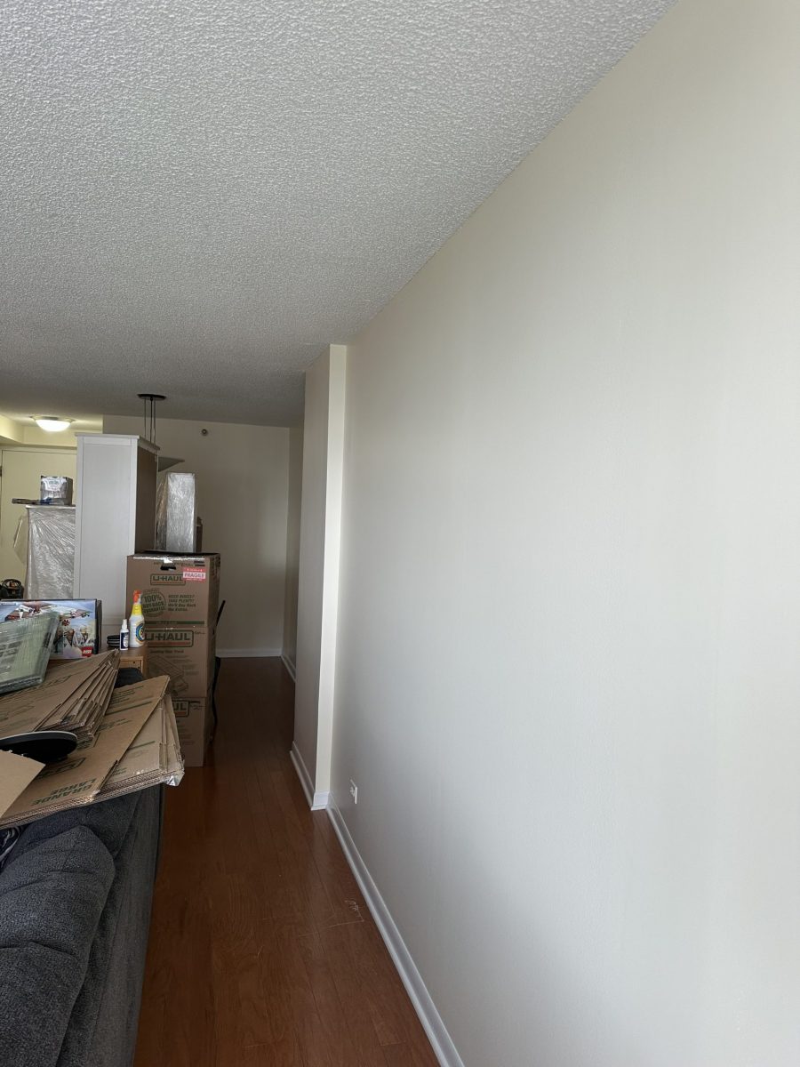white walls painted condo Preview Image 3