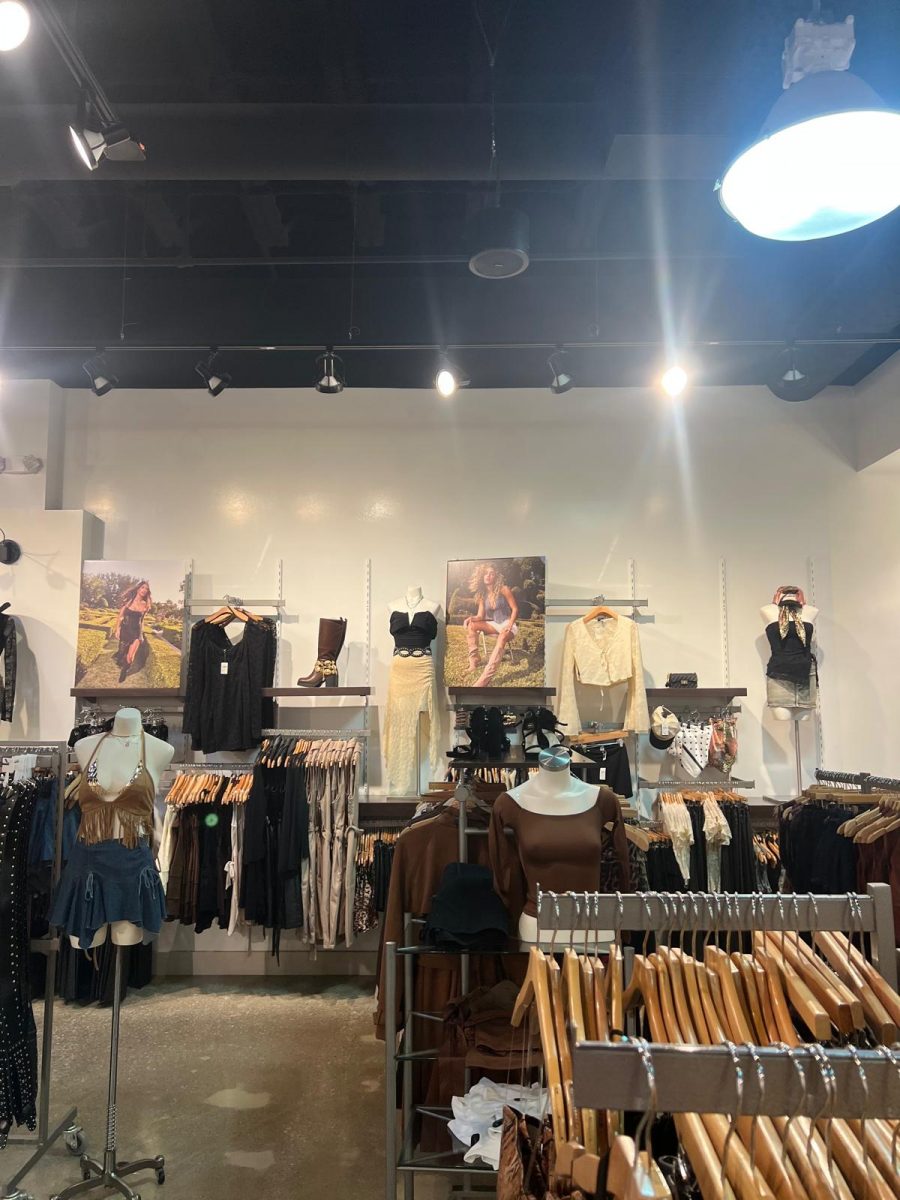 Display Area | After Preview Image 2