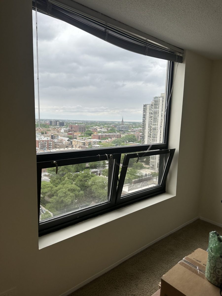 painted window chicago condo Preview Image 9