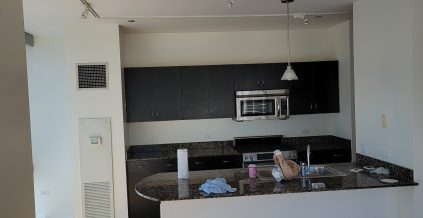 Chicago Condo Full Interior Repaint