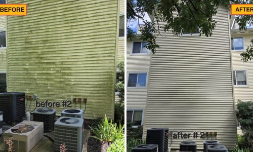 Condo Soft Wash Before and After