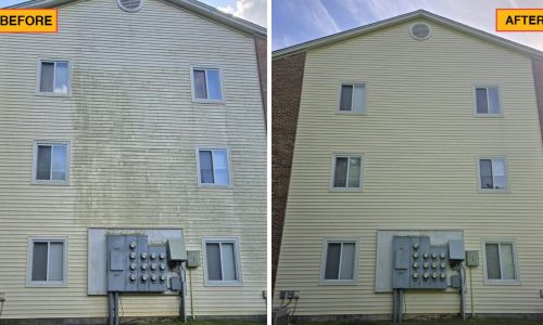 Condo Soft Wash Before and After