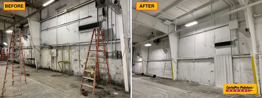 freeman Preview Image 10