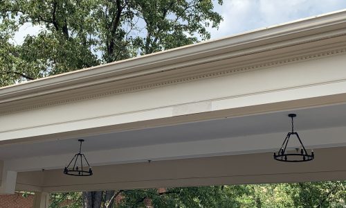 During Community Painting