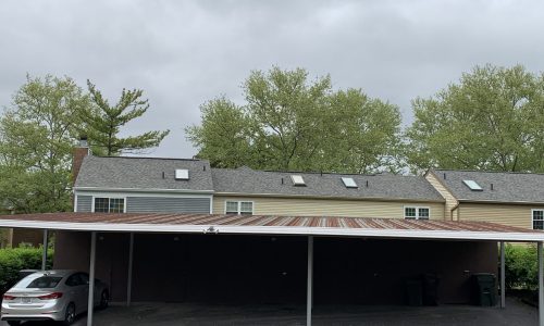 Alternate Perspective