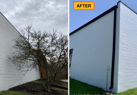 exterior before and after