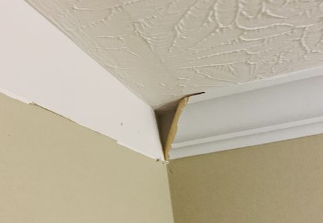 light carpentry repairs condo before