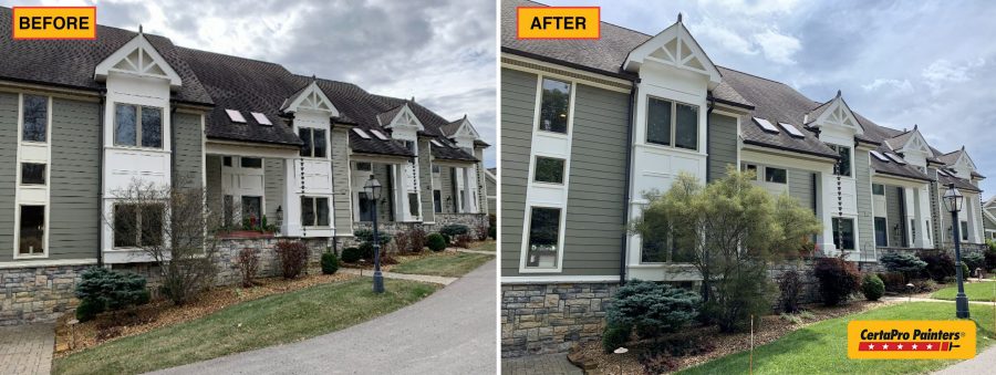 Woodland Vista before and after painting Preview Image 35