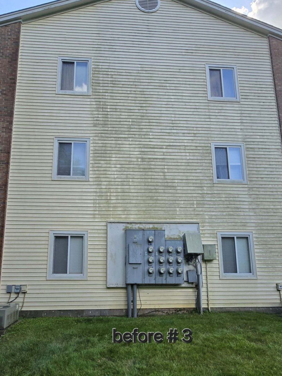 Cincy Condo Soft Washing before photo Preview Image 3