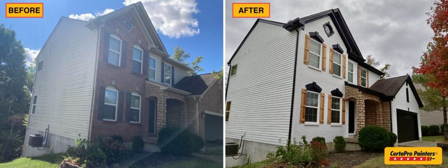 Residential Painting Project Preview Image 4