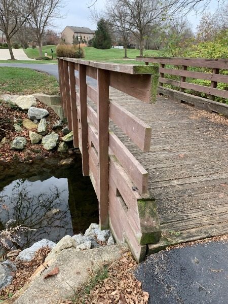 Foot Bridges (Before) Preview Image 22