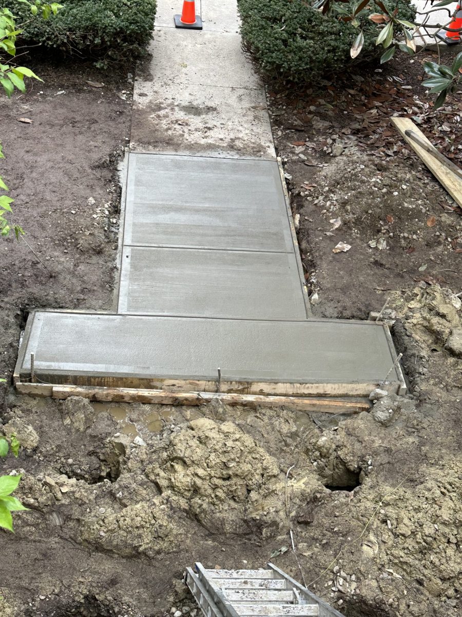 Commercial Construction Project Preview Image 7