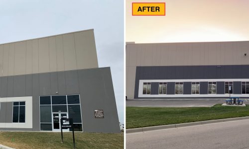 Restoration Project (Before & After)