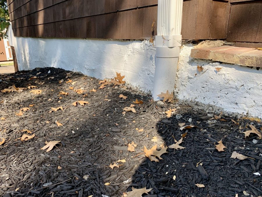 Exterior Wood Siding & Deck Restoration (After) Preview Image 4