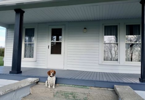 falmouth home after painting