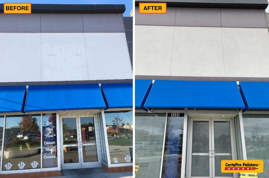 frenchie front before and after