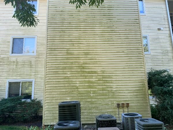 Cincy Condo Soft Washing before photo Preview Image 1