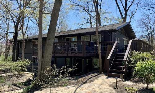 Another View From the Backyard