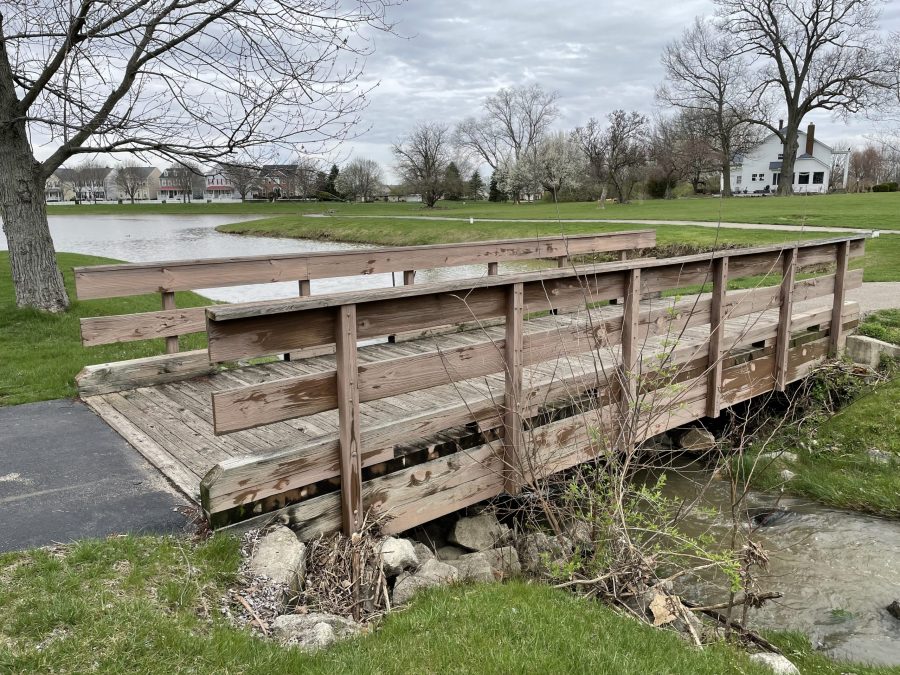 Foot Bridges (Before) Preview Image 9