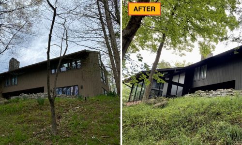 Before & After Photo