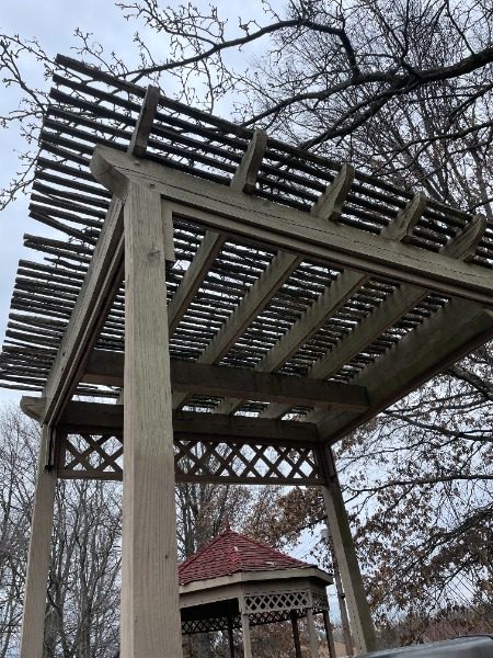 damaged pergola Preview Image 15