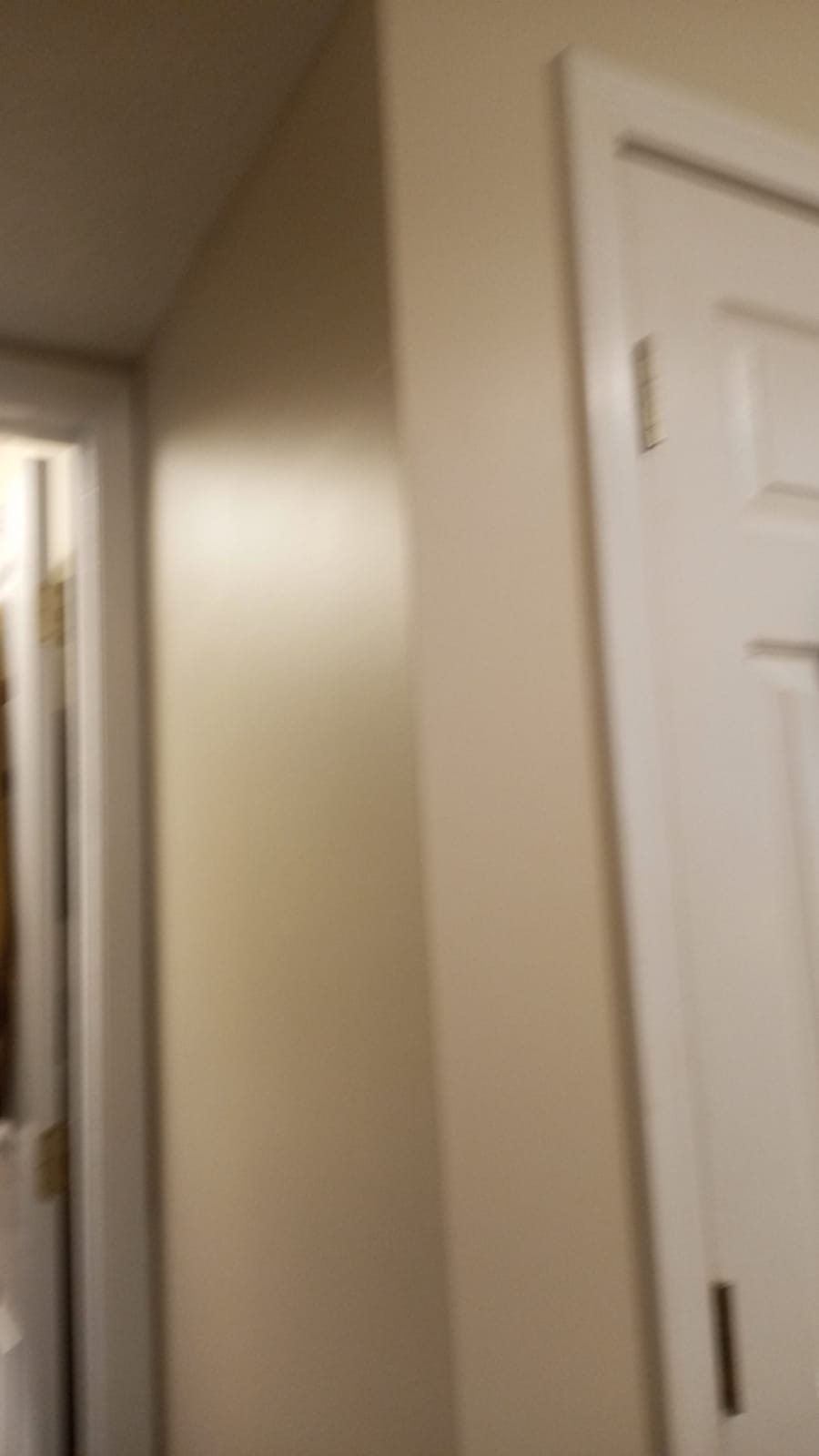 light carpentry repairs condo after Preview Image 13