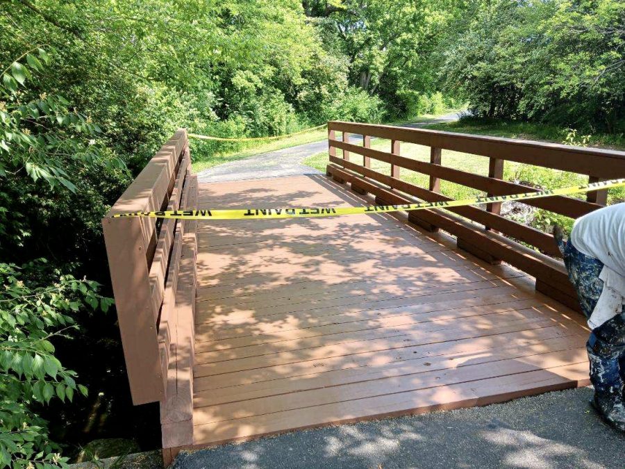 Foot Bridges (After) Preview Image 26