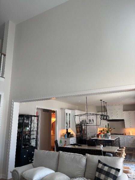 Interior Living Room Transformation (Before) Preview Image 9