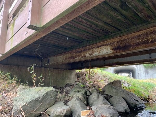 Foot Bridges (Before) Preview Image 6