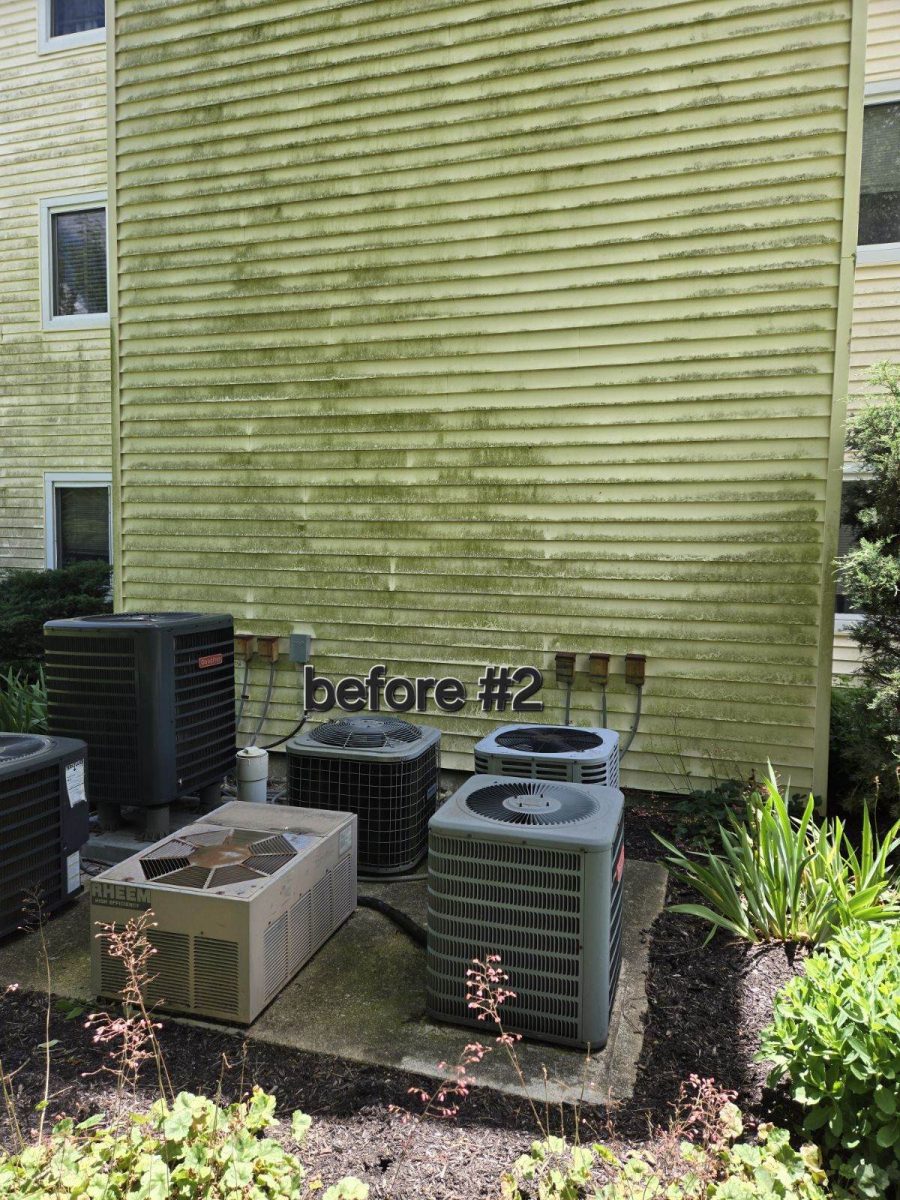 Cincy Condo Soft Washing before photo Preview Image 2