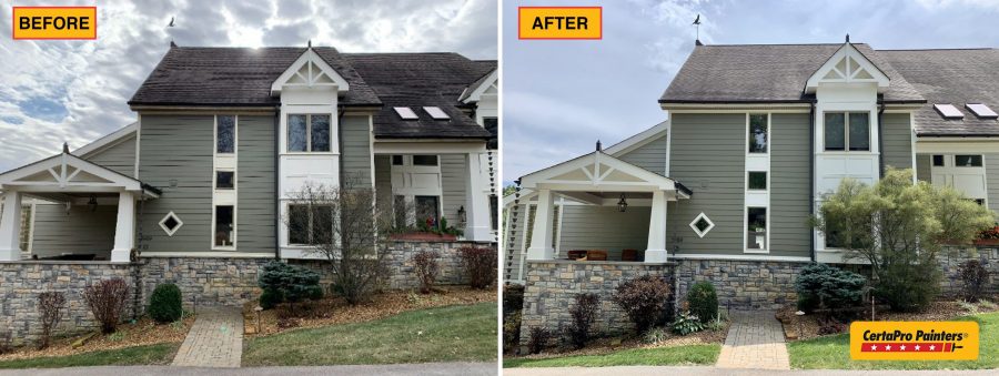 Woodland Vista before and after painting Preview Image 36