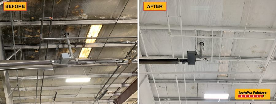 freeman Preview Image 12