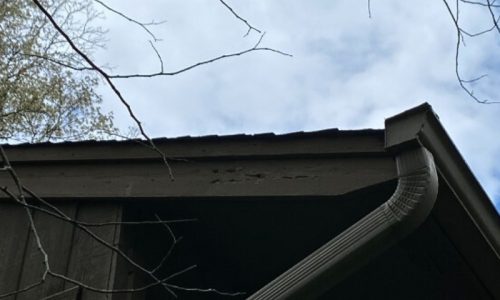 Unique Wood Sided Home Before