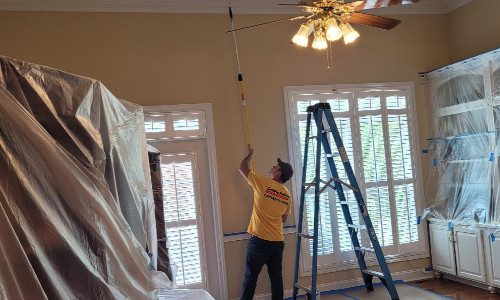 Interior Painting Protection