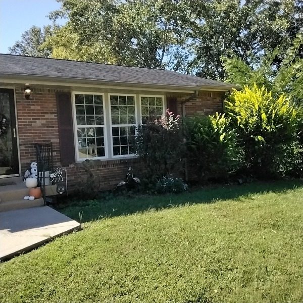 Brick Painting - Before Preview Image 3