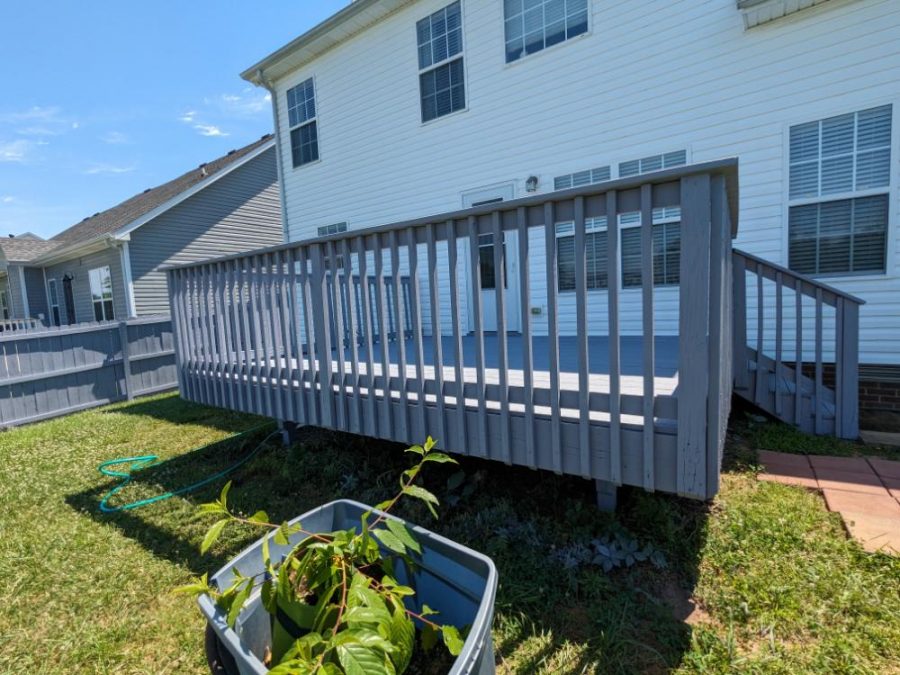 photo of deck being repainted Preview Image 4