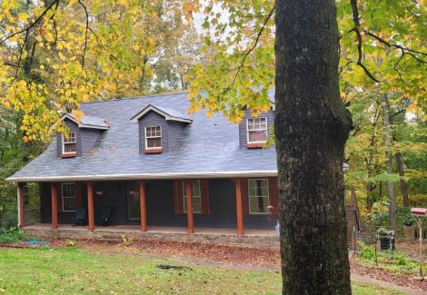 Painting in Springfield, TN