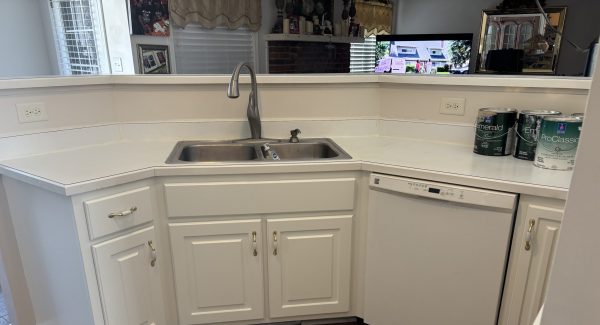 Kitchen Sink