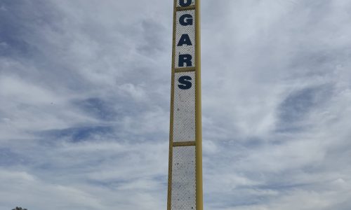 Baseball Field Painting