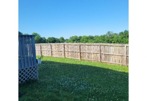 photo of fence being repainted